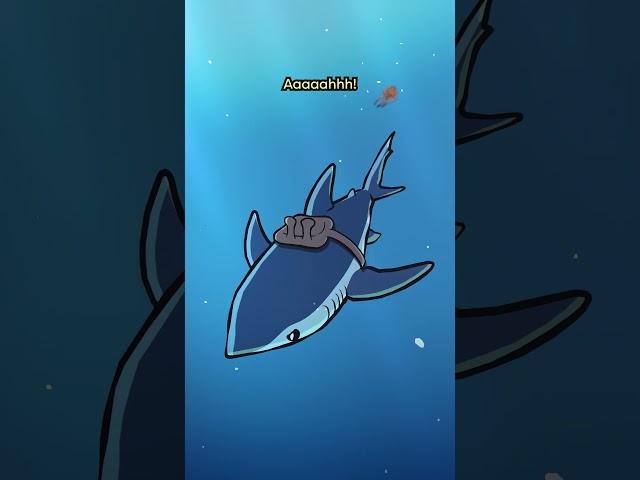 Shortfin Mako Shark ️️ #animation #original #cartoon