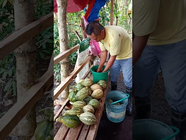 Ang sarap balikan ang magandang sinimulan sa Farm