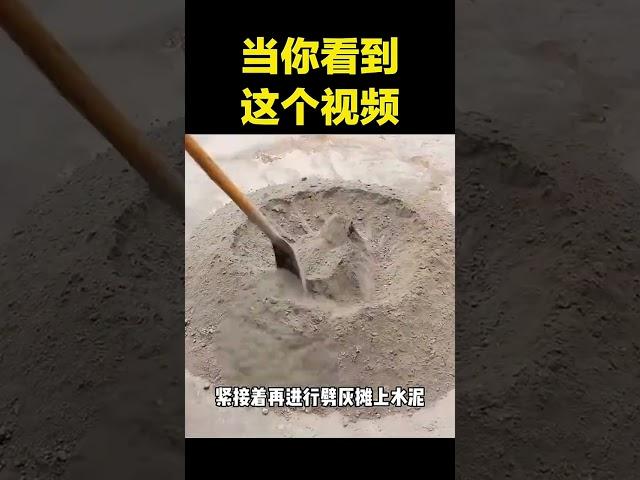 当你看到这个视频, 我绝对有理由相信你肯定会喜欢他, 因为他实在太漂亮了