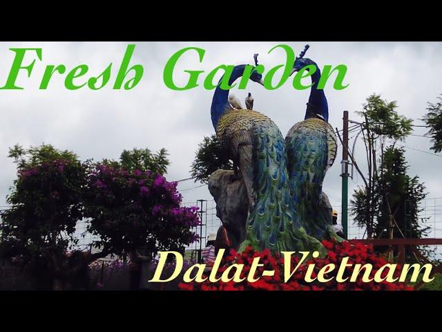 Fresh Garden… Dalat - Vietnam