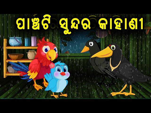 5 Special Kahani | Birds Story | Cartoon Story | Zoo Joo Tv | Tiki Chadhei Gapo | Odia Bird Story