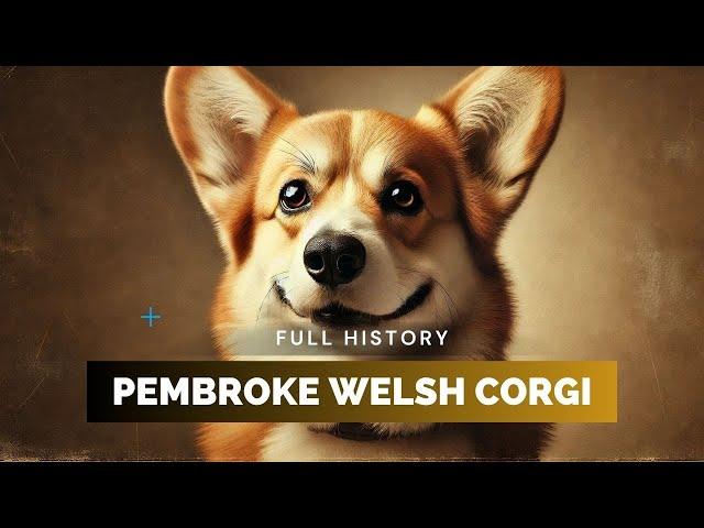 Pembroke Welsh Corgi - Full History