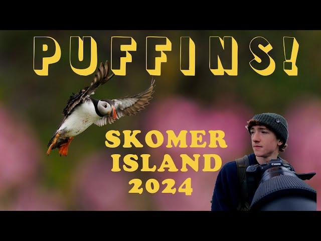 I Visited Puffin Island! - Skomer Trip 2024