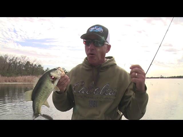 How to Catch Bass with a Tube