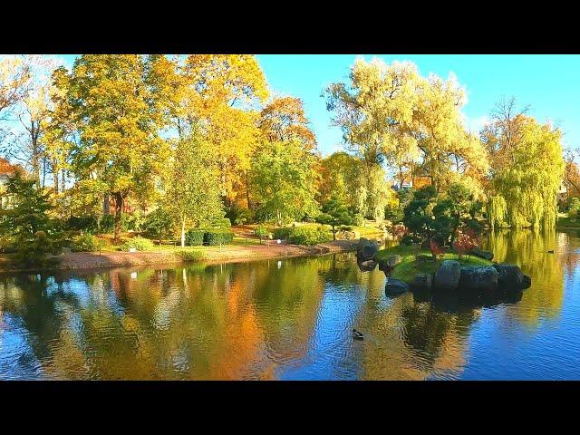 Estonia Tallinn JAPANESE GARDEN Area of Kadriorg Park in Autumn [4K60]