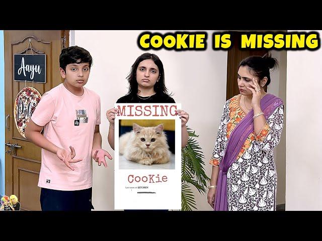 COOKIE IS MISSING | Aayu and Pihu Show