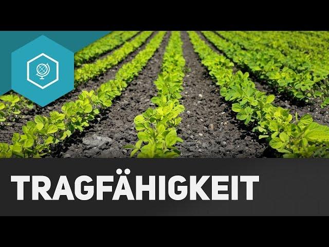 Wie viele Menschen kann die Welt ernähren?: Tragfähigkeit - Landwirtschaft in Industrieländern 1