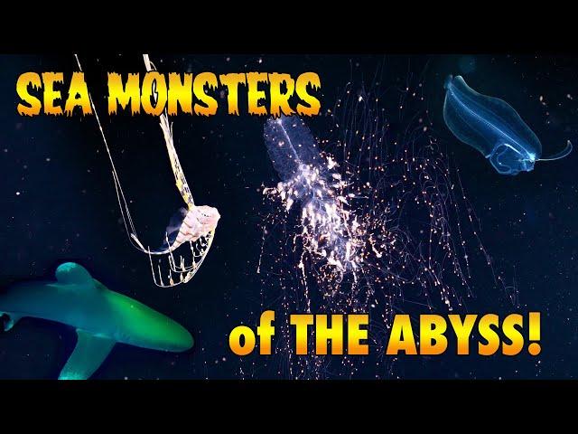 Sea Monsters of the Abyss! (Blackwater Diving in Hawaii and Florida!)