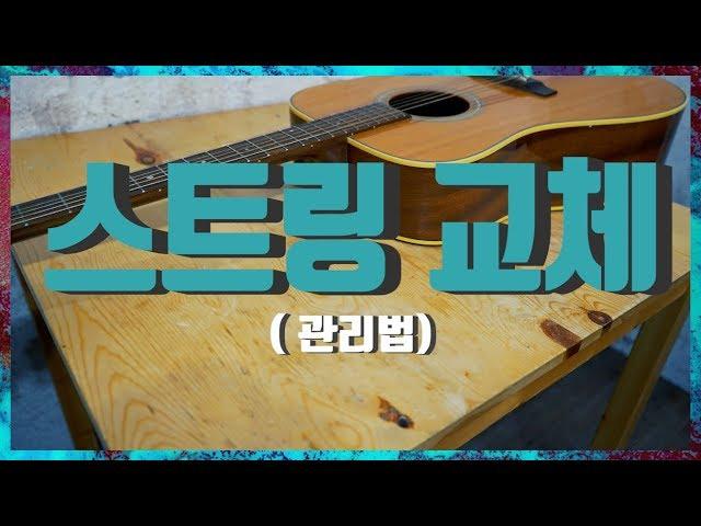 눈팅[4회]훈디의 피!튀기는 하드코어 통기타 줄교체와 유지보수 관리법
