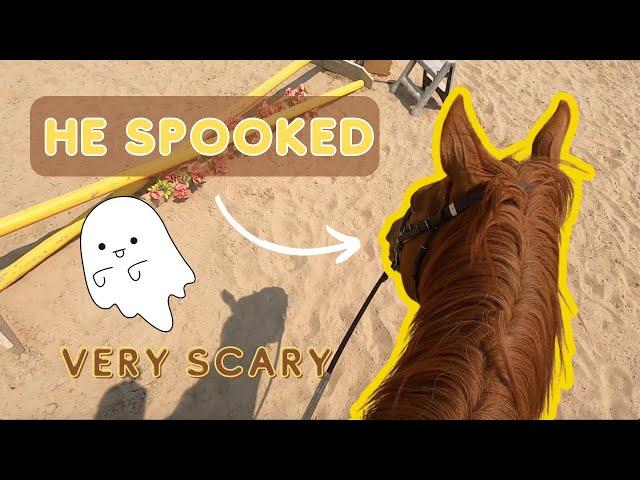 HORSE SPOOKS | GOPRO TACK UP AND RIDE WITH ME