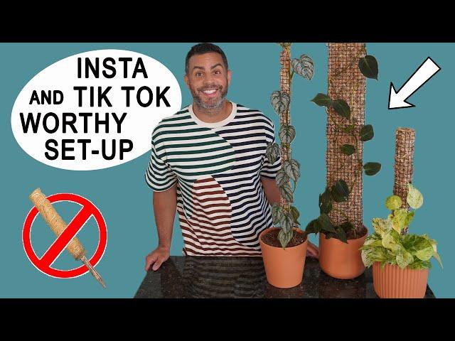 Houseplant Trends 2021: Instagram and TikTok Worthy Plant Homes with Moss Pole Set-Up!