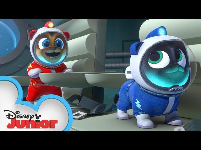 Puppies Go to the Moon!  | Puppy Dog Pals | Disney Junior