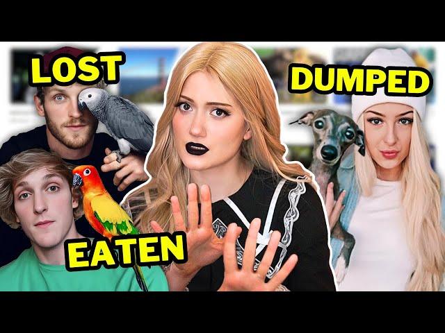 Tragic Story Of These YouTuber Pets