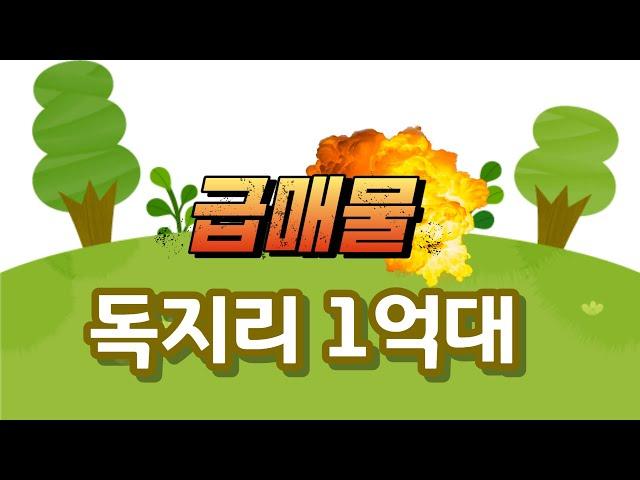 [NO.20]1억대 독지리 급매물!!!