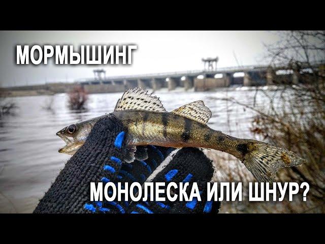 Монолеска или шнур? / Мормышинг