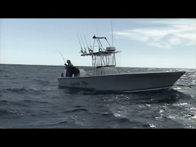 What do these fishermen have on the hook? | Discover Florida Channel