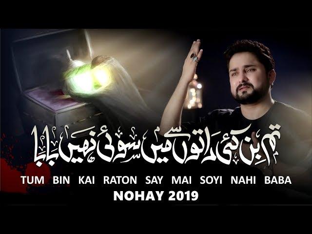 Nohay 2019 | Tum Bin Kai Raaton Se Main Soye Nahi Baba | Syed Raza Abbas Zaidi | Bibi Sakina Noha