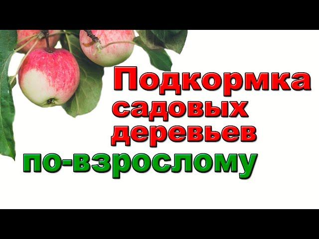 ЛУЧШИЙ СПОСОБ ПОДКОРМКИ ВЗРОСЛЫХ САДОВЫХ ДЕРЕВЬЕВ