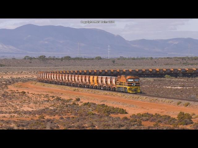 OUTBACK AUSTRALIAN IRON ORE TRAINS - Aurizon Distributed Power Ore Train in South Australia