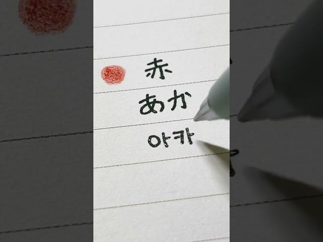 오늘의 일단어️- あか #캘링 #shorts #음식 #일본어 #손글씨 #일본어손글씨 #캘리그라피 #calligraphy #カリグラフィー#日本語 #赤