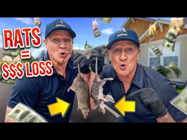 These RATS Will Cost You Thousands If You Don’t Catch Them!