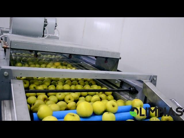 OLIMPIAS S.A. | Grading and sorting line for apples.