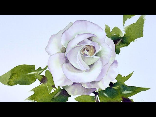 Watercolor painting White rose tutorials watercolour