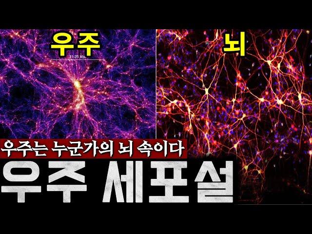 우리 우주가 어떤 생명체의 세포라는 증거 (프랙탈 우주론, 우주세포설) | 미스터리