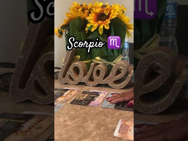 Scorpio Lack of Communication Leads 2 Disappointment