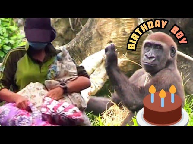 Jabali's Birthday Joy: First Full Birthday Treat Package! 呷百二生日超開心！第一次拿到完整的生日禮包！