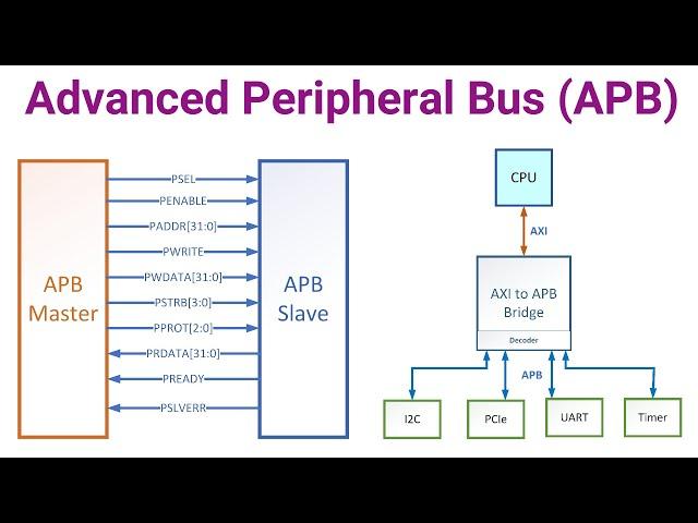 APB Protocol Basics | APB Protocol Explained | APB Interface | APB Bus Protocol | AMBA APB Topology