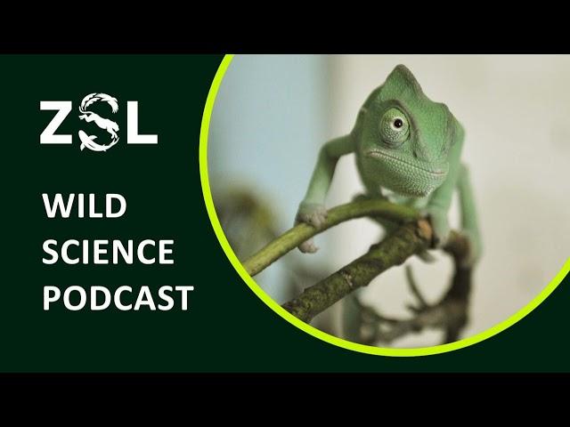 ZSL #033 Putting reptiles on the map: ZSL Science for reptilian conservation