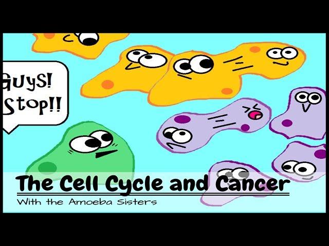 (OLD VIDEO) The Cell Cycle and Cancer