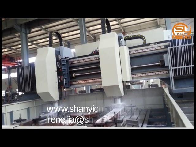 Double Head CNC Drilling Machine