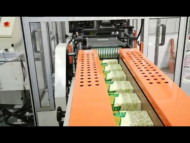 100 bag facial tissue packing machine