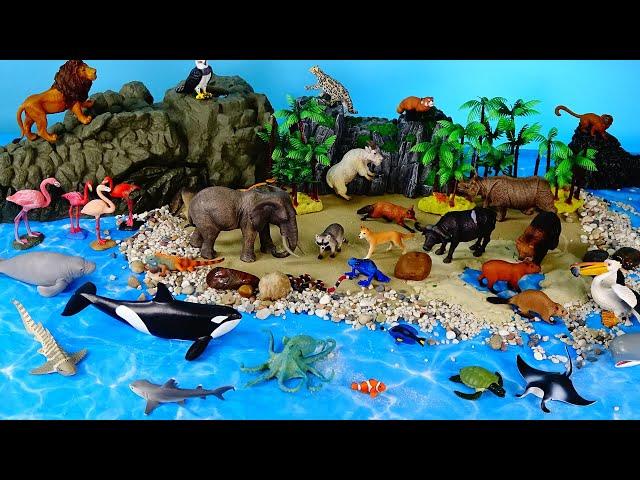 Island Diorama and Wildlife Animal Figurines - Learn Animal Names