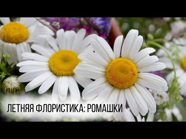 Летняя флористика: ромашки | Курсы флористики | TURAGINA DECOR