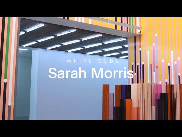 In Focus: Sarah Morris on 'Ataraxia' | White Cube