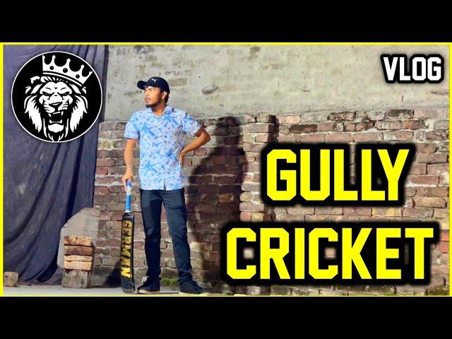 Gully Cricket ( Bachpan ki Yadein ) Vlog / Star ANONYMOUS