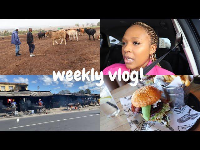 Weekly Vlog: Preps for my late fathers ceremony | Lunch date | Mini grocery haul| SA YouTuber