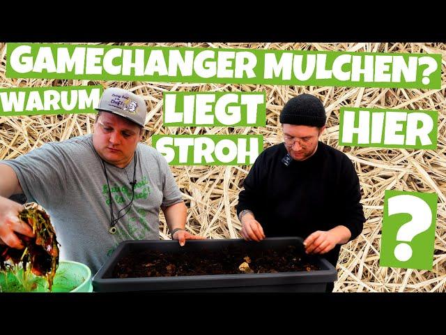 Wie man richtig Mulch einsetzt für seinen GROW | Florganics  | Komposttee und Bakterien