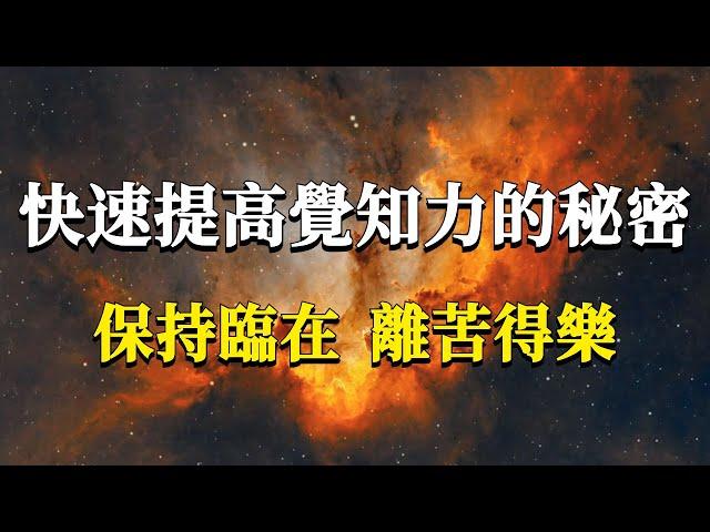 怎樣才能在生活中提高覺知力，保持臨在、離苦得樂呢？這期視頻一定要好好看完！#能量#業力 #宇宙 #精神 #提升 #靈魂 #財富 #認知覺醒 #修行