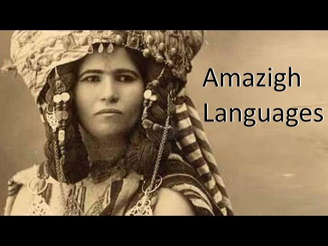 Amazigh Languages Compared (Afroasiatic)