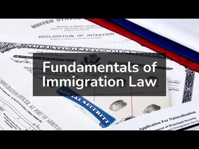 Fundamentals of Immigration Law