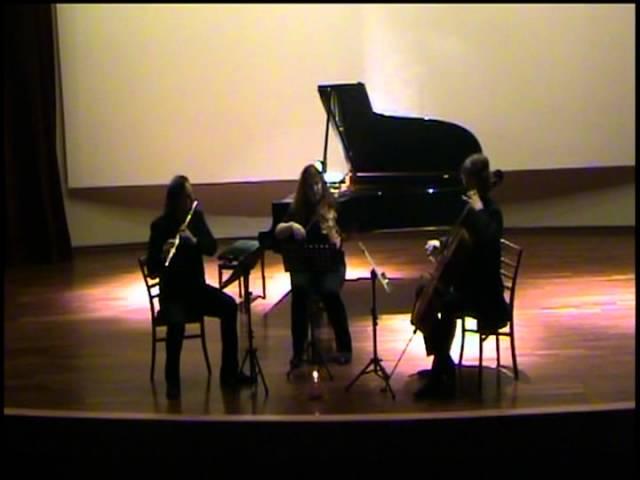 Haydn London Trio No 2 Flute: Halit Turgay Violin: Rüzgar Turgay Cello: Münif AkalınDVDClip2.mpg