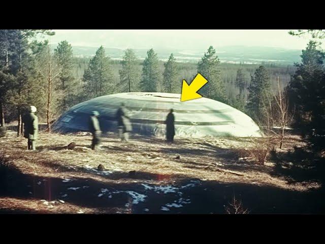 Découverte Incroyable ! Un OVNI Géant Trouvé dans une Forêt Isolée !