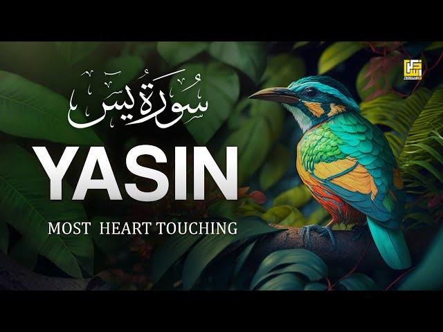 World's most beautiful Quran recitation of Surah Yasin (Yaseen) سورة يس | Zikrullah TV