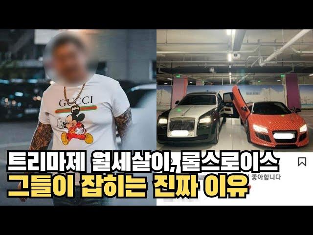 문신허세충 토사장들 전부 다 털렸습니다 조심하세요