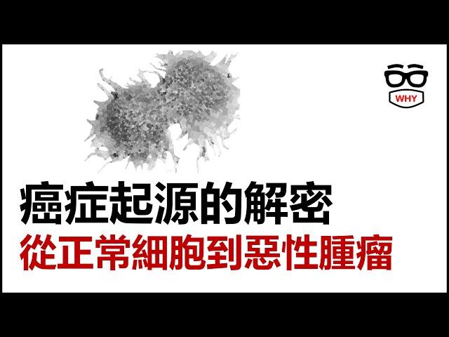 癌症起源的解密：從正常細胞到惡性腫瘤