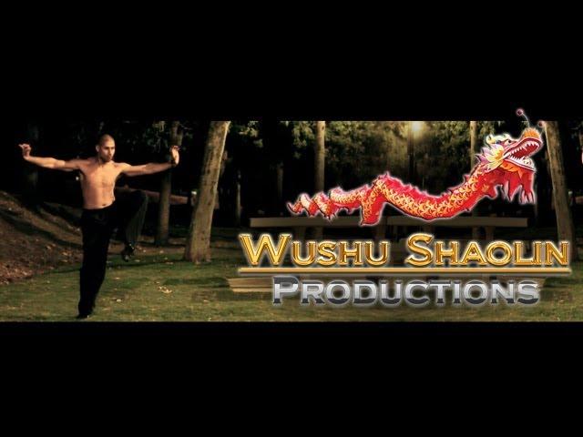 Shifu Sal Redner - Northern Shaolin - Tiger Fist Kung Fu - Wushu Chang Quan